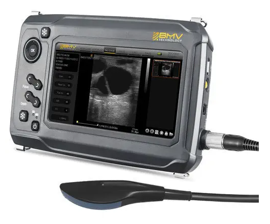 Portable veterinary ultrasound system BestScan® S6 Convex-Array Vet