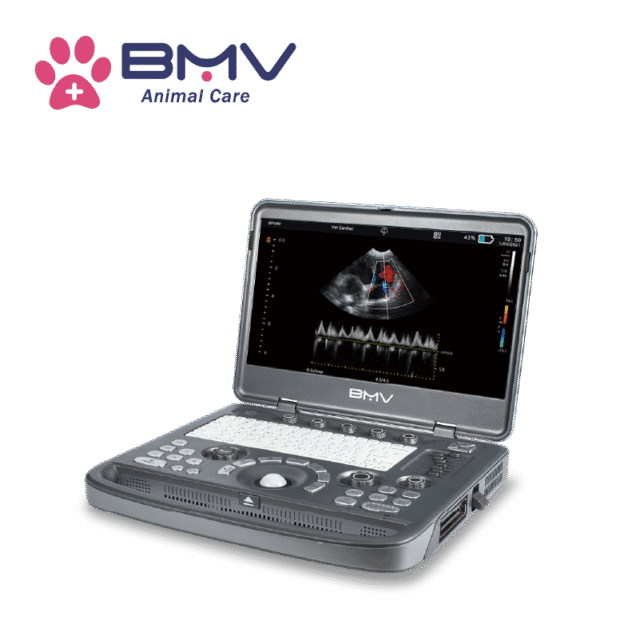 BPU80 Cardiac Ultrasound