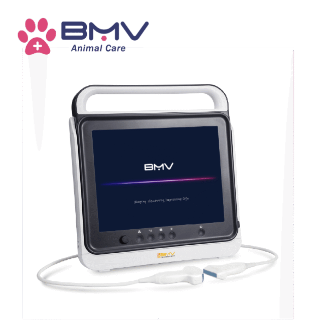 PT50A Portable ultrasound system