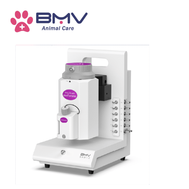 BAM-6 Vet Multi-channel Animal Research Multi-output Animal Anesthesia Machine（BMV Life Science/Small Animal/Inhalation Anesthesia）